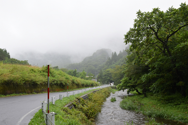 山根岩魚(イワナ)寿司発表!山根サマーフェスティバル